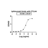 Dose-response - Ipilimumab Biosimilar - Anti-CTLA-4 Antibody - BSA and Azide free (A338982) - Antibodies.com