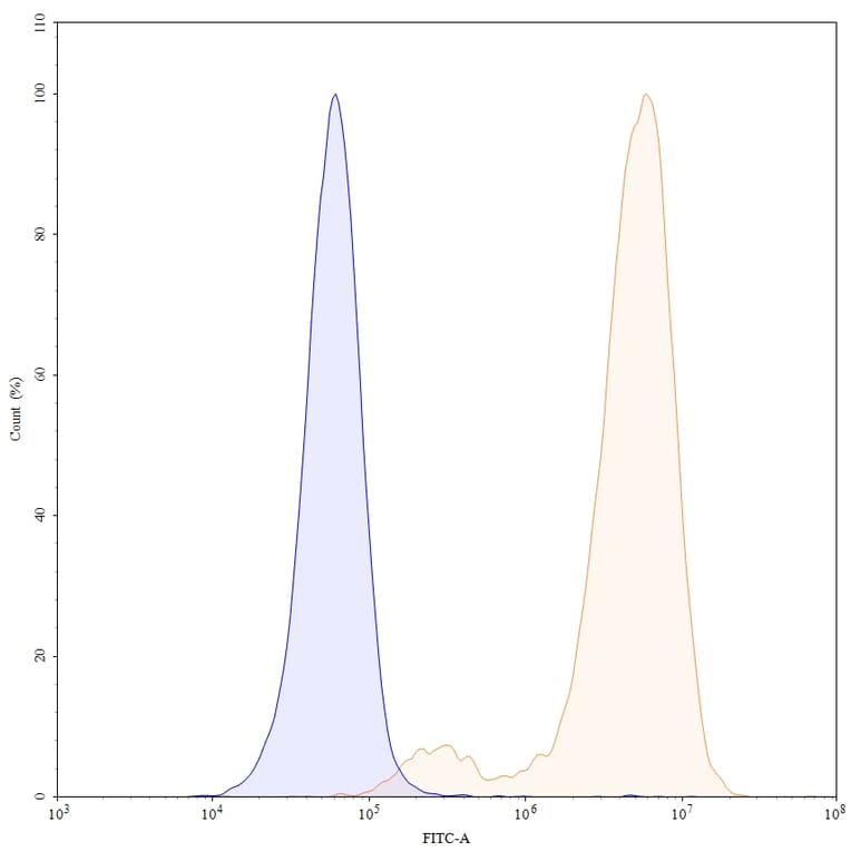 Chromatography profile - Pertuzumab Biosimilar - Anti-ErbB2 Antibody - BSA and Azide free (A338983) - Antibodies.com