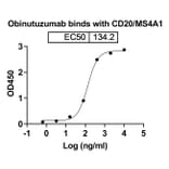 Dose-response - Obinutuzumab Biosimilar - Anti-CD20 Antibody - BSA and Azide free (A338985) - Antibodies.com