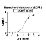 Dose-response - Ramucirumab Biosimilar - Anti-VEGF Receptor 2 Antibody - BSA and Azide free (A338987) - Antibodies.com