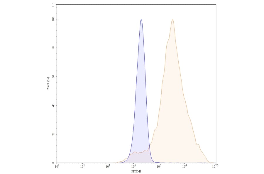 Chromatography profile - Necitumumab Biosimilar - Anti-EGFR Antibody - BSA and Azide free (A338996) - Antibodies.com