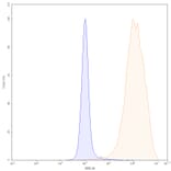 Chromatography profile - Atezolizumab Biosimilar - Anti-PD-L1 Antibody - BSA and Azide free (A339001) - Antibodies.com