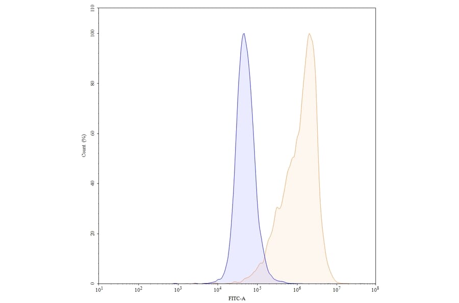 Chromatography profile - Ixekizumab Biosimilar - Anti-IL-17A Antibody - BSA and Azide free (A339002) - Antibodies.com