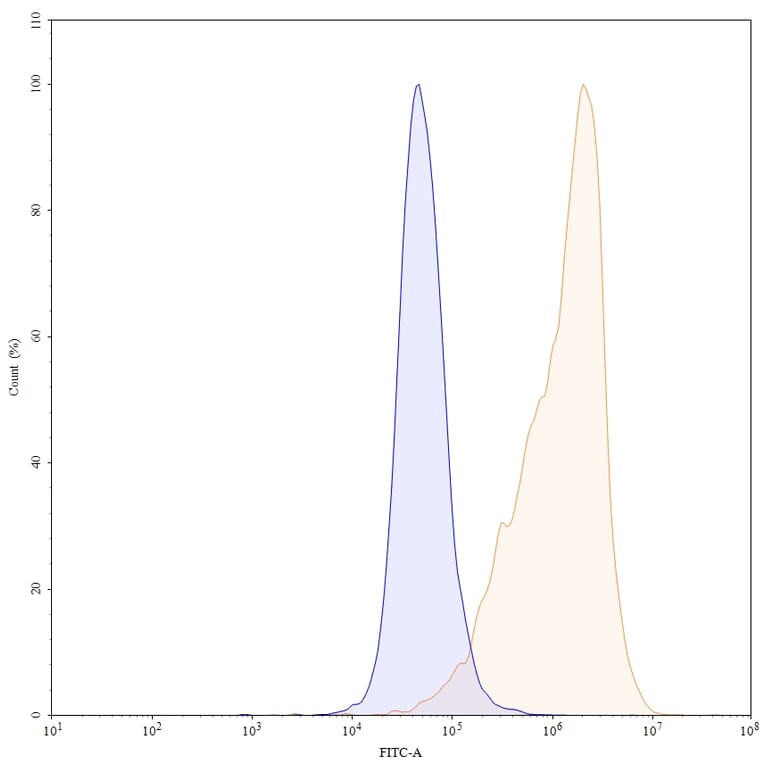 Chromatography profile - Ixekizumab Biosimilar - Anti-IL-17A Antibody - BSA and Azide free (A339002) - Antibodies.com
