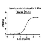 Dose-response - Ixekizumab Biosimilar - Anti-IL-17A Antibody - BSA and Azide free (A339002) - Antibodies.com