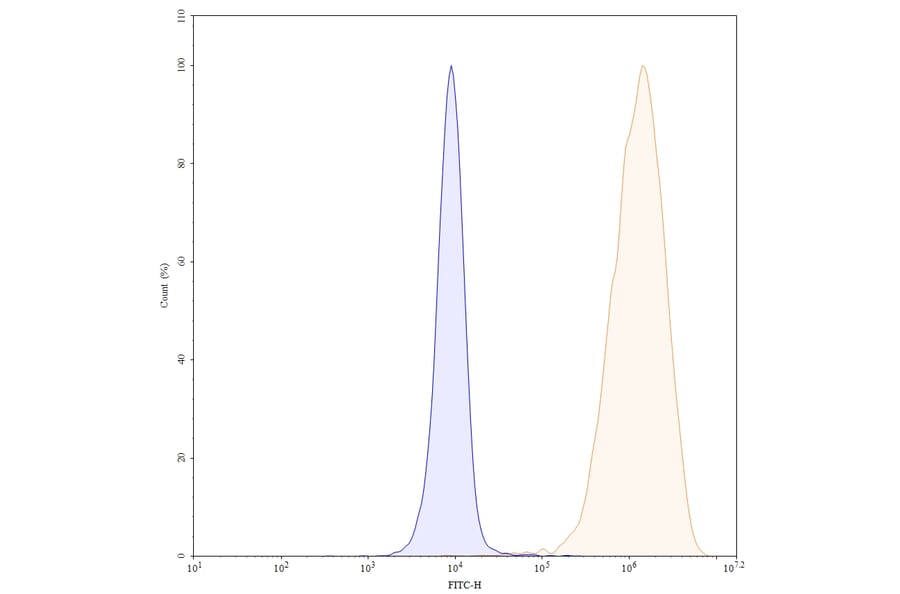 Chromatography profile - Durvalumab Biosimilar - Anti-PD-L1 Antibody - BSA and Azide free (A339009) - Antibodies.com