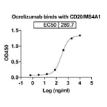 Dose-response - Ocrelizumab Biosimilar - Anti-CD20 Antibody - BSA and Azide free (A339013) - Antibodies.com