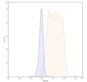 Chromatography profile - Mogamulizumab Biosimilar - Anti-CCR4 Antibody - BSA and Azide free (A339024) - Antibodies.com