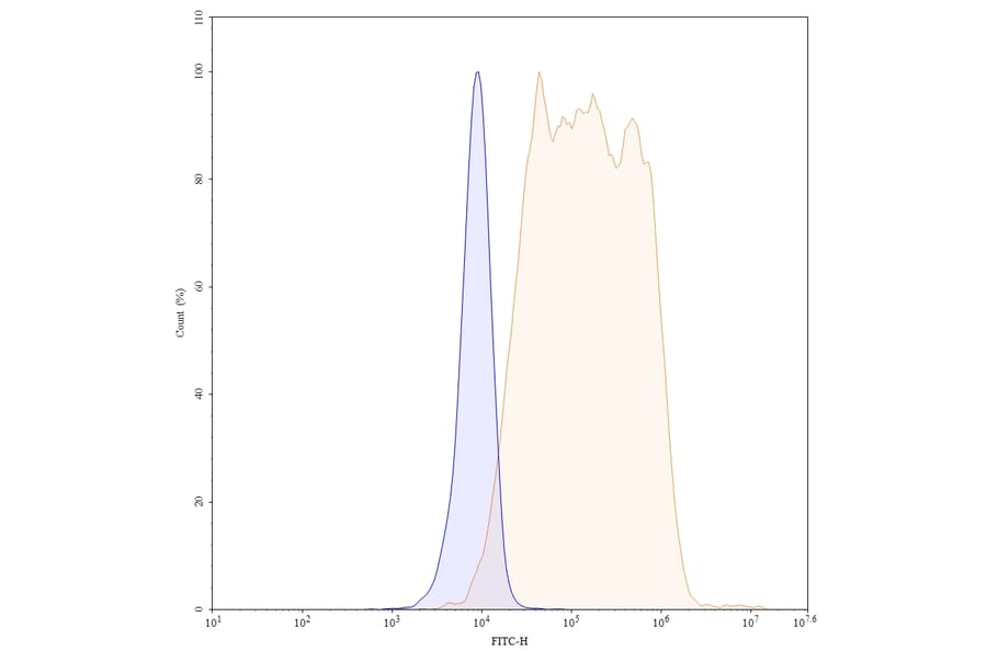 Chromatography profile - Mogamulizumab Biosimilar - Anti-CCR4 Antibody - BSA and Azide free (A339024) - Antibodies.com
