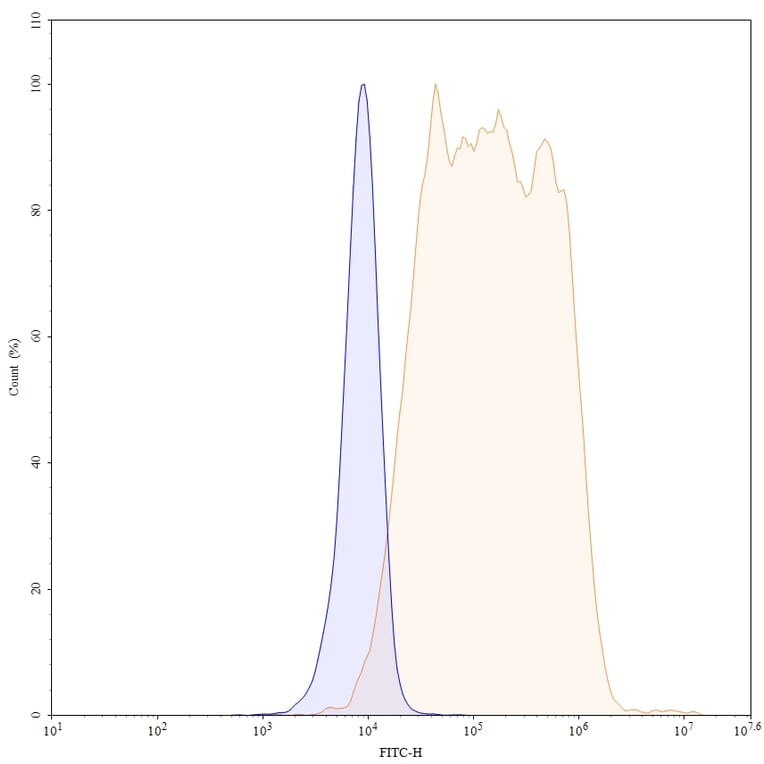 Chromatography profile - Mogamulizumab Biosimilar - Anti-CCR4 Antibody - BSA and Azide free (A339024) - Antibodies.com