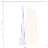 Chromatography profile - Mogamulizumab Biosimilar - Anti-CCR4 Antibody - BSA and Azide free (A339024) - Antibodies.com