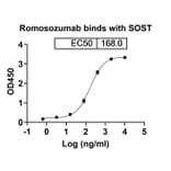 Dose-response - Romosozumab Biosimilar - Anti-Sclerostin Antibody - BSA and Azide free (A339030) - Antibodies.com