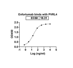Dose-response - Enfortumab Biosimilar - Anti-PVRL4 Antibody - BSA and Azide free (A339032) - Antibodies.com