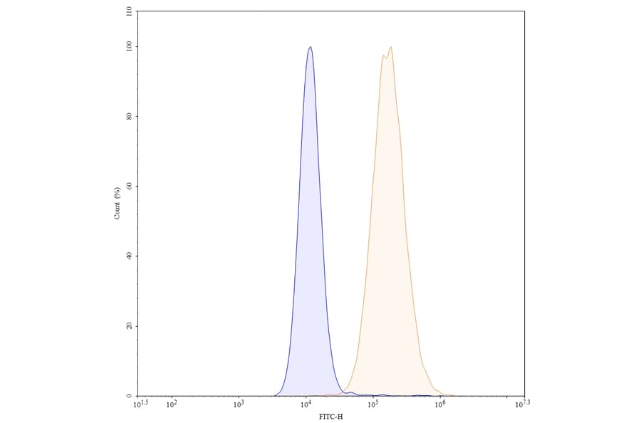 Chromatography profile - Sacituzumab Biosimilar - Anti-TROP2 Antibody - BSA and Azide free (A339036) - Antibodies.com