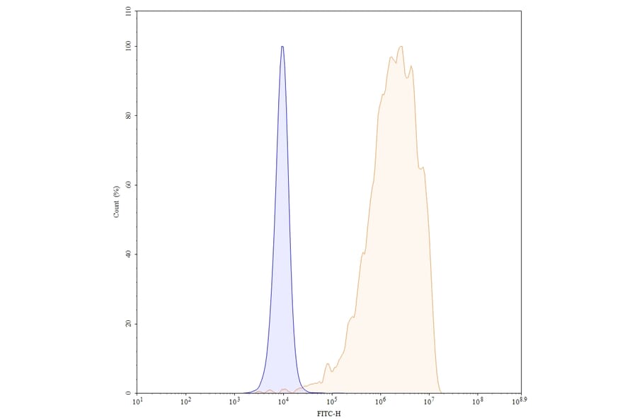 Chromatography profile - Sacituzumab Biosimilar - Anti-TROP2 Antibody - BSA and Azide free (A339036) - Antibodies.com