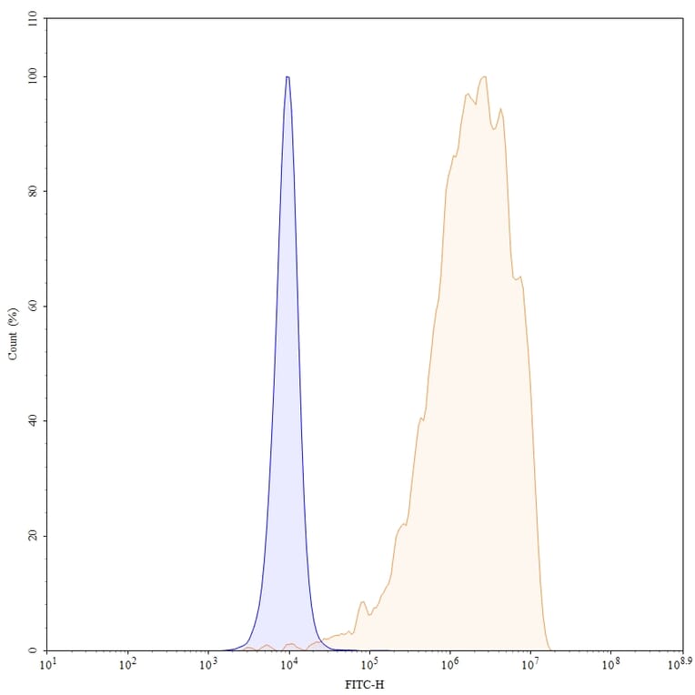 Chromatography profile - Sacituzumab Biosimilar - Anti-TROP2 Antibody - BSA and Azide free (A339036) - Antibodies.com