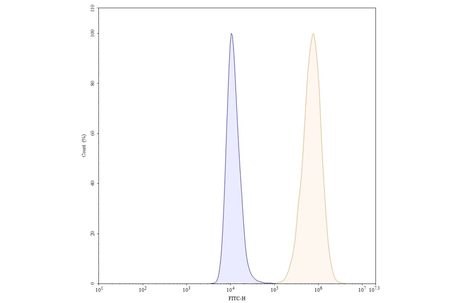 Chromatography profile - Sacituzumab Biosimilar - Anti-TROP2 Antibody - BSA and Azide free (A339036) - Antibodies.com