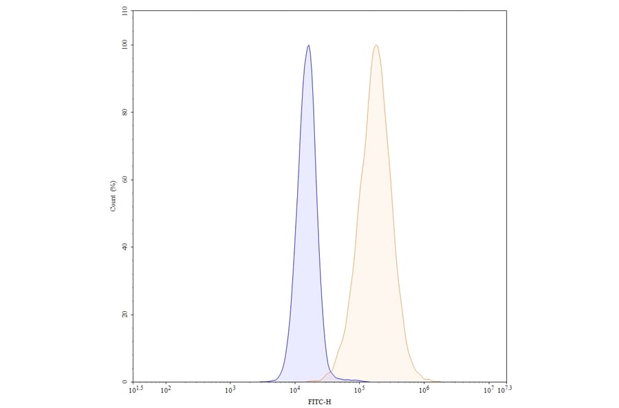 Chromatography profile - Sacituzumab Biosimilar - Anti-TROP2 Antibody - BSA and Azide free (A339036) - Antibodies.com