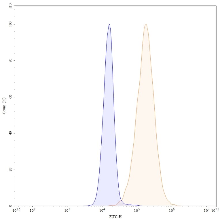 Chromatography profile - Sacituzumab Biosimilar - Anti-TROP2 Antibody - BSA and Azide free (A339036) - Antibodies.com
