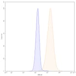 Chromatography profile - Sacituzumab Biosimilar - Anti-TROP2 Antibody - BSA and Azide free (A339036) - Antibodies.com