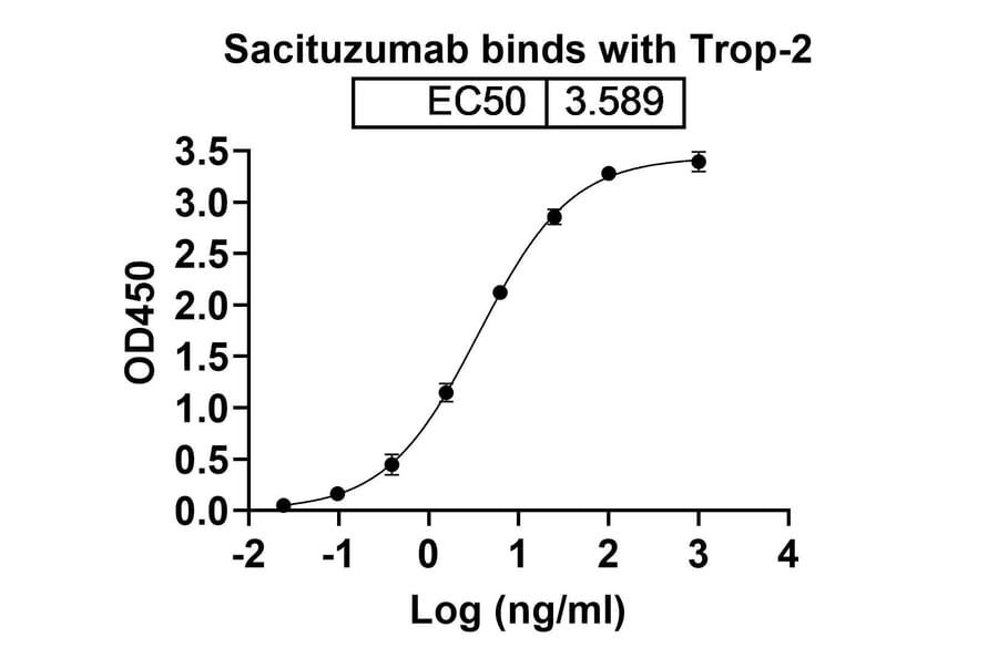 SDS-PAGE - Sacituzumab Biosimilar - Anti-TROP2 Antibody - BSA and Azide free (A339036) - Antibodies.com
