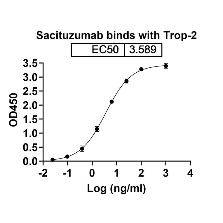 SDS-PAGE - Sacituzumab Biosimilar - Anti-TROP2 Antibody - BSA and Azide free (A339036) - Antibodies.com