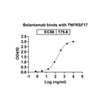 Dose-response - Belantamab Biosimilar - Anti-BCMA Antibody - BSA and Azide free (A339038) - Antibodies.com