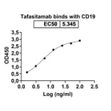 Dose-response - Tafasitamab Biosimilar - Anti-CD19 Antibody - BSA and Azide free (A339039) - Antibodies.com