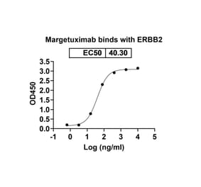 Dose-response - Margetuximab Biosimilar - Anti-ErbB2 Antibody - BSA and Azide free (A339045) - Antibodies.com