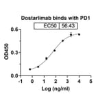 Dose-response - Dostarlimab Biosimilar - Anti-PD 1 Antibody - BSA and Azide free (A339048) - Antibodies.com