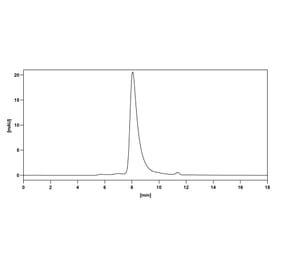Chromatography profile - Oncolym Biosimilar - Anti-HLA Class II DRB1 Antibody - BSA and Azide free (A339051) - Antibodies.com