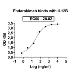 Dose-response - Ebdarokimab Biosimilar - Anti-IL12B Antibody - BSA and Azide free (A339088) - Antibodies.com