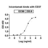 Dose-response - Ivicentamab Biosimilar - Anti-CD37 Antibody - BSA and Azide free (A339158) - Antibodies.com