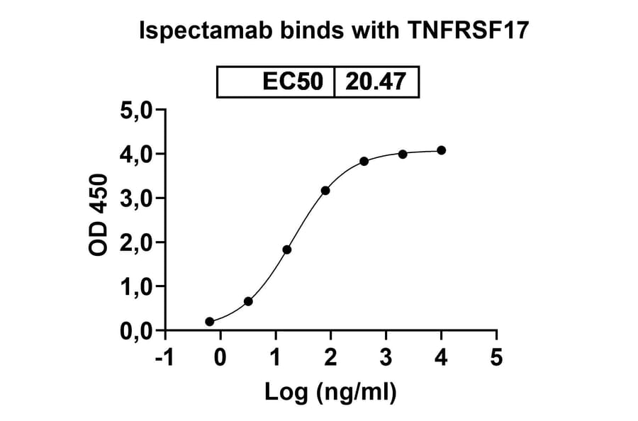 Dose-response - Ispectamab Biosimilar - Anti-BCMA Antibody - BSA and Azide free (A339204) - Antibodies.com