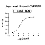 Dose-response - Ispectamab Biosimilar - Anti-BCMA Antibody - BSA and Azide free (A339204) - Antibodies.com