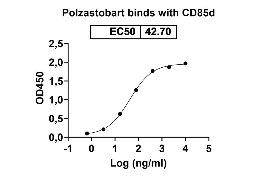 SDS-PAGE - JTX-8064-101 Biosimilar - Anti-LILRB2 Antibody - BSA and Azide free (A339267) - Antibodies.com