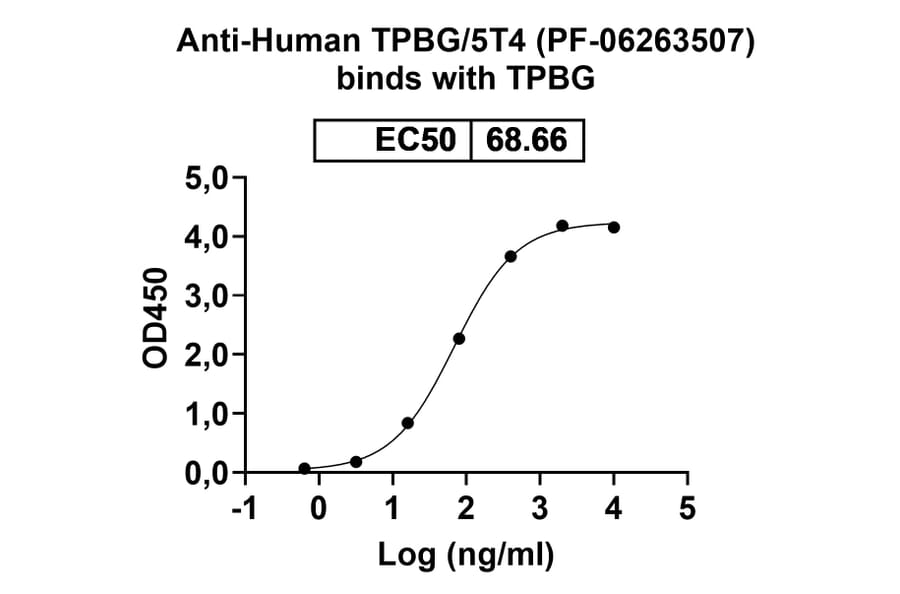 Dose-response - Anti-5T4 Antibody [PF-626357] Biosimilar - BSA and Azide free (A339316) - Antibodies.com