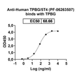 Dose-response - Anti-5T4 Antibody [PF-626357] Biosimilar - BSA and Azide free (A339316) - Antibodies.com