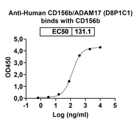SDS-PAGE - Anti-ADAM17 Antibody [D8P1C1] Biosimilar - BSA and Azide free (A339320) - Antibodies.com