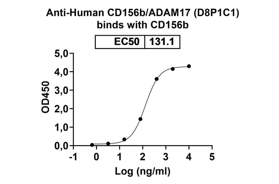 SDS-PAGE - Anti-ADAM17 Antibody [D8P1C1] Biosimilar - BSA and Azide free (A339320) - Antibodies.com