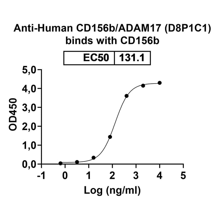 SDS-PAGE - Anti-ADAM17 Antibody [D8P1C1] Biosimilar - BSA and Azide free (A339320) - Antibodies.com