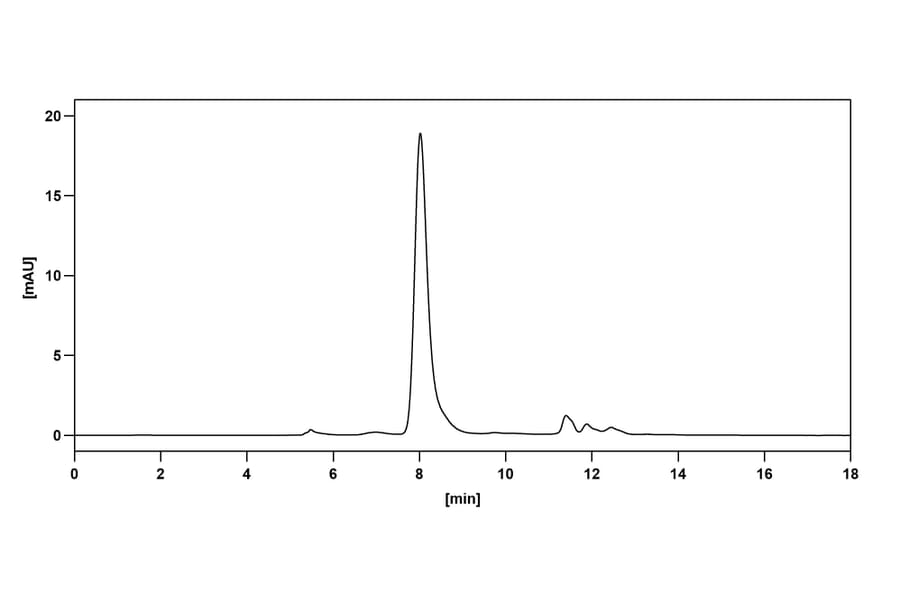 SDS-PAGE - Anti-CD20 Antibody [MT-3724] Biosimilar - BSA and Azide free (A339437) - Antibodies.com