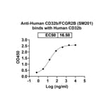 Dose-response - Anti-CD32B Antibody [SM21] Biosimilar - BSA and Azide free (A339468) - Antibodies.com