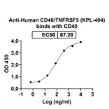 Dose-response - Anti-CD40 Antibody [KPL-44] Biosimilar - BSA and Azide free (A339499) - Antibodies.com