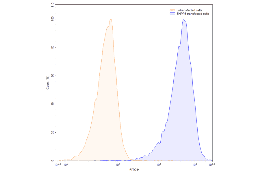 Chromatography profile - Anti-ENPP3 Antibody [AGS-16C3F] Biosimilar - BSA and Azide free (A339685) - Antibodies.com