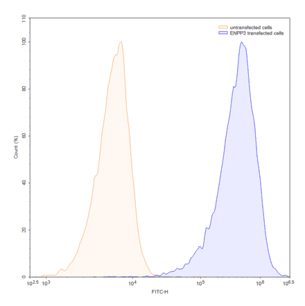 Chromatography profile - Anti-ENPP3 Antibody [AGS-16C3F] Biosimilar - BSA and Azide free (A339685) - Antibodies.com