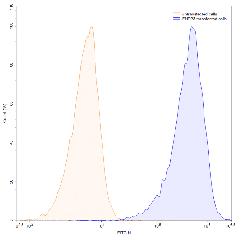Chromatography profile - Anti-ENPP3 Antibody [AGS-16C3F] Biosimilar - BSA and Azide free (A339685) - Antibodies.com