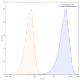 Chromatography profile - Anti-ENPP3 Antibody [AGS-16C3F] Biosimilar - BSA and Azide free (A339685) - Antibodies.com