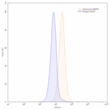 Chromatography profile - Anti-ENPP3 Antibody [AGS-16C3F] Biosimilar - BSA and Azide free (A339685) - Antibodies.com