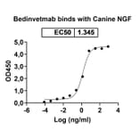 Dose-response - Bedinvetmab Biosimilar - Anti-NGF Antibody - BSA and Azide free (A339752) - Antibodies.com